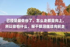 已经是最低谷了，怎么走都是向上，所以你怕什么，擦干眼泪继续向前走，你要知道，人生除了生死，其余的都是擦伤罢了。