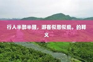 行人半醉半醒，游客似憨似痴。的释义