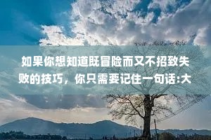 如果你想知道既冒险而又不招致失败的技巧，你只需要记住一句话:大胆筹划，小心实施。