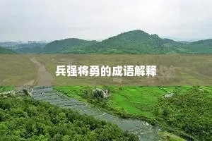 兵强将勇的成语解释