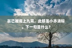 翁已鞭鸾上九霄，此郎虽小亦清标。下一句是什么？