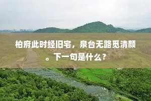 柏府此时经旧宅，泉台无路觅清颜。下一句是什么？