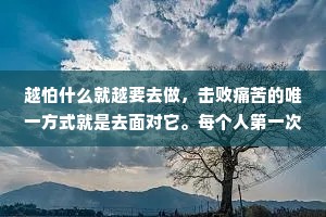 越怕什么就越要去做，击败痛苦的唯一方式就是去面对它。每个人第一次“上台”都会很紧张，但是当你“上台”的次数越来越多,你就会变得习以为常，甚至你会渴望“上台”的机会，渴望被关注的机会。