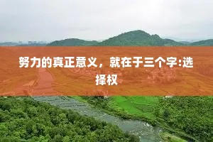 努力的真正意义，就在于三个字:选择权