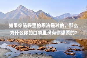 如果你脑袋里的想法是对的，那么为什么你的口袋里没有你想要的?