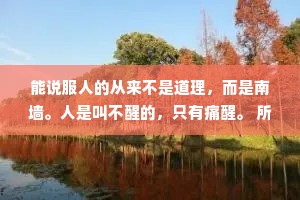 能说服人的从来不是道理，而是南墙。人是叫不醒的，只有痛醒。 所有受过的委屈，都在提醒你，该好好争气。