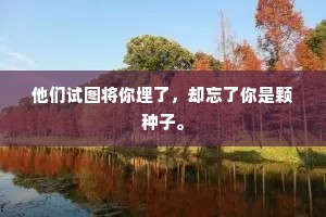他们试图将你埋了，却忘了你是颗种子。