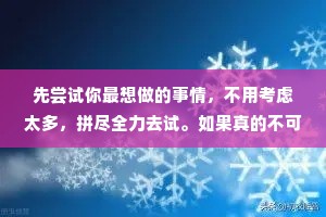 先尝试你最想做的事情，不用考虑太多，拼尽全力去试。如果真的不可为之，那就回到你只能做的事情，这时你也能踏踏实实做出成绩来，不再疑惑。