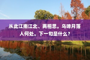 从此江南江北、两相思。乌啼月落人何处。下一句是什么？
