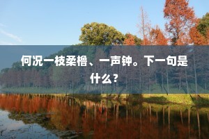 何况一枝柔橹、一声钟。下一句是什么? 何况一枝柔橹、一声钟。下一句是什么?