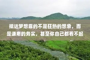 抵达梦想靠的不是狂热的想象，而是谦卑的务实，甚至你自己都看不起的可怜的隐忍。