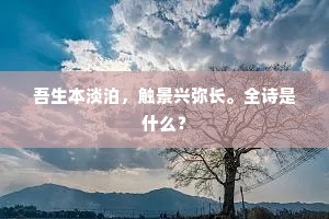 吾生本淡泊，触景兴弥长。全诗是什么？