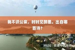 我不识公衮，时时见醉墨。出自哪首诗？