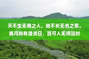 天不生无用之人，地不长无名之草。黄河尚有澄清日，岂可人无得运时。雪压寒梅头不低卧薪尝胆待佳期。终有一日同风起:扶摇直上九万里。
