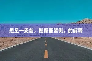 想见一秃翁，攫攘吾辈侧。的解释