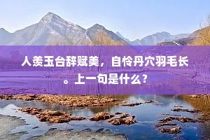 人羡玉台辞赋美，自怜丹穴羽毛长。上一句是什么？