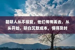 聪明人从不报复，他们匆匆离去，从头开始，明白沉默成本，懂得及时止损。