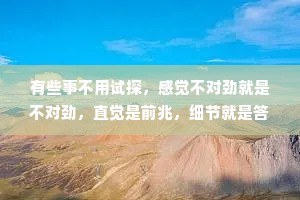 有些事不用试探，感觉不对劲就是不对劲，直觉是前兆，细节就是答案。