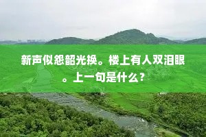 新声似怨韶光换。楼上有人双泪眼。上一句是什么？