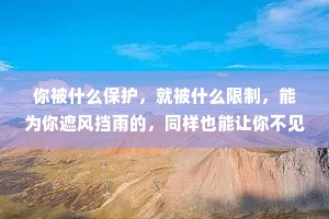 你被什么保护，就被什么限制，能为你遮风挡雨的，同样也能让你不见天日。