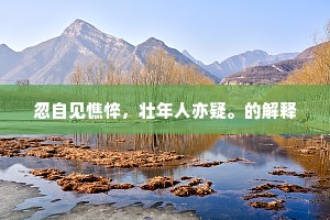 忽自见憔悴，壮年人亦疑。的解释