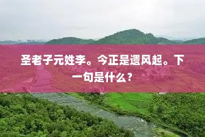 圣老子元姓李。今正是遗风起。下一句是什么？