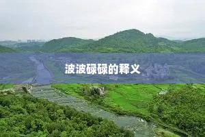 波波碌碌的释义