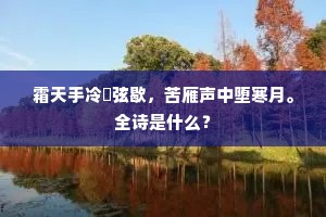 霜天手冷鹍弦歇，苦雁声中堕寒月。全诗是什么？