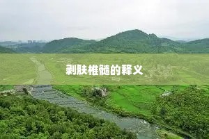 剥肤椎髓的释义