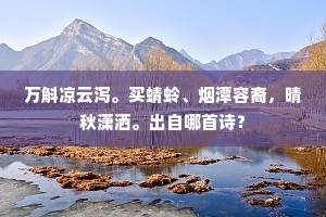 万斛凉云泻。买蜻蛉、烟潭容裔，晴秋潇洒。出自哪首诗？