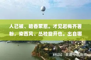 人已被、暗香萦惹。才见岩梅齐著粉，染西风、丛桂旋开也。出自哪首诗？