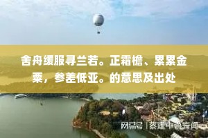 舍舟缓服寻兰若。正霜檐、累累金粟，参差低亚。的意思及出处