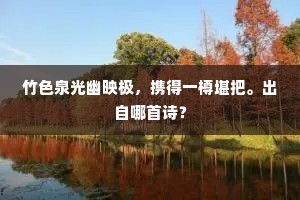 竹色泉光幽映极，携得一樽堪把。出自哪首诗？