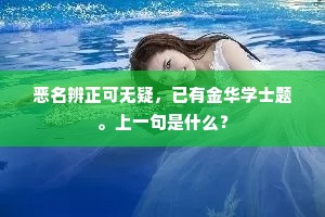 恶名辨正可无疑，已有金华学士题。上一句是什么？