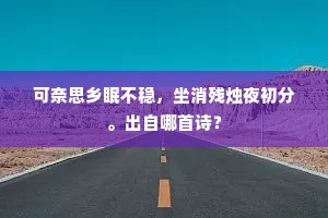 可奈思乡眠不稳，坐消残烛夜初分。出自哪首诗？