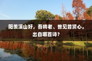 阳羡溪山好，吾将老、曾见昔贤心。出自哪首诗？