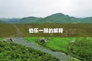 伯乐一顾的解释