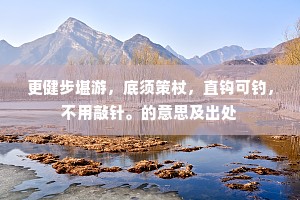 更健步堪游，底须策杖，直钩可钓，不用敲针。的意思及出处