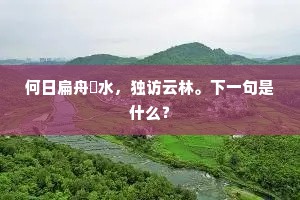 何日扁舟滆水，独访云林。下一句是什么？