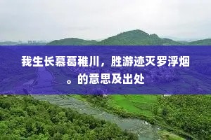我生长慕葛稚川，胜游迹灭罗浮烟。的意思及出处