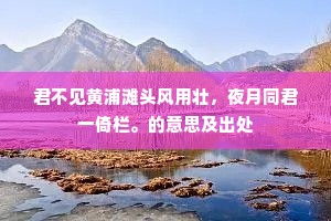 君不见黄浦滩头风用壮，夜月同君一倚栏。的意思及出处