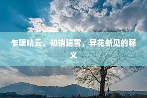 乍暖晴云，初销瑞雪，异花新见的释义