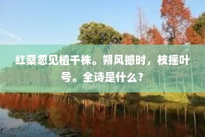 红桑忽见植千株。朔风撼时，枝摇叶号。全诗是什么？