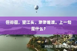 但徘徊，望江头、渺渺难渡。上一句是什么？