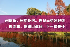 问此乐、何如仆射。忽见高茔延野烧，似赤龙、蹙踏山都赭。下一句是什么？