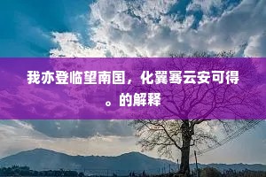 我亦登临望南国，化翼骞云安可得。的解释