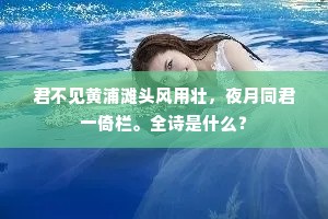 君不见黄浦滩头风用壮，夜月同君一倚栏。全诗是什么？