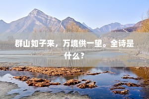 群山如子来，万境供一望。全诗是什么？