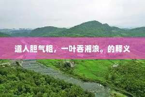 道人胆气粗，一叶吞湘浪。的释义
