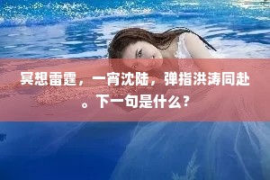 冥想雷霆，一宵沈陆，弹指洪涛同赴。下一句是什么？